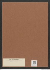 Diatomeae indet. Zeichnungen Sammlung Grunow Mappe 02320 (Herbarium_W_Grunow_drawings_Folder_02320)